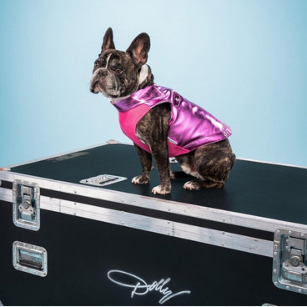 NWT ~ Doggy Parton Rhinestone Bomber Jacket for Dogs - Large, Pink